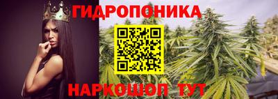 сатива Ирбит