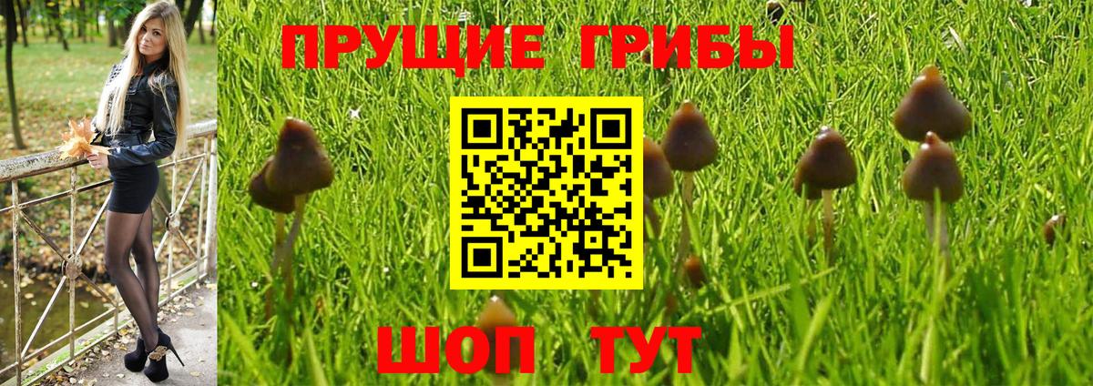 Курганинск  Галлюциногенные грибы ЛСД  Вход с VPN  Галлюциногенные грибы Psilocybine cubensis 